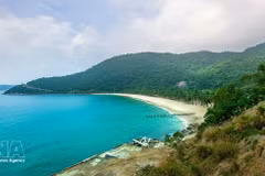 挖掘会安南部沿海旅游潜力