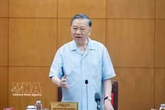 越共中央总书记、国家主席苏林在党中央总部主持召开与中央政策与战略部及相关机构的工作会议。图自越通社