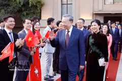 越共中央总书记、国家主席苏林和夫人吴芳璃及越南高级代表团走访越南驻中国大使馆。图自越通社
