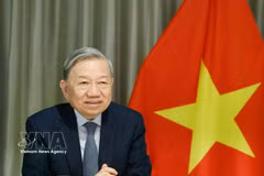 苏林总书记与美国参议员通电话