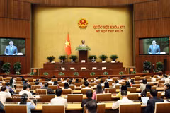 国会副主席阮克定主持会议。图自越通社