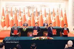 越共中央总书记、国家主席苏林与中共中央总书记、国家主席习近平共同见证两国系列合作文件的签署。图自越通社