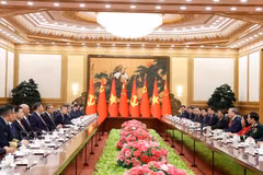 越中中央总书记、国家主席苏林同中共中央总书记、国家主席习近平举行会谈。图自越通社