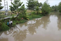 小勤乡水稻田灌溉系统已安装了可通过智能手机管理的水环境监测系统。图自越通社