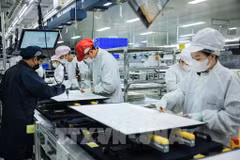 资料图：在同奈省的Regza电子（越南）有限公司的厂房。图自越通社