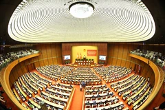 贯彻落实第79-NQ/TW号和第80-NQ/TW号决议全国会议。图自越通社