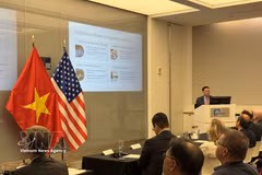 越美企业加强投资合作