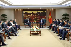 越南政府常务副总理范家足会见美国副国务卿克里斯托弗·兰道。图自baochinhphu.vn