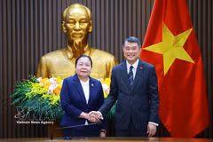 越南政府总理黎明兴会见老挝人民革命党中央组织部部长西赛·勒德门松。图自越通社