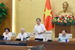 国会主席陈青敏在会议上发表讲话。图自越通社