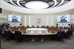 传递越南革新、创新愿景与决心的信息