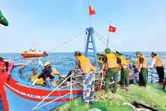 广平省边防部队定期在海上巡逻，严厉打击IUU捕捞作业的渔船。图自越通社