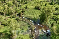 附图 图自越通社