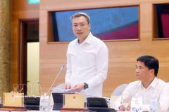 越南政府例行记者会：打击知识产权侵权高峰行动首月成效显著