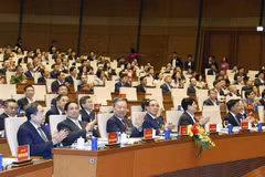 越共中央总书记苏林同各位党和国家领导人、原领导人出席会议。图自越通社
