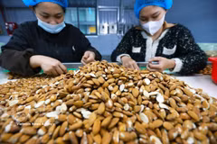 在位于顺化市思夏工业园区的金树（越南）食品有限责任公司（100%中资）的工厂内。图自越通社