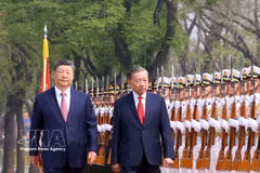 中共中央总书记、国家主席习近平主持仪式欢迎越共中央总书记、国家主席苏林访华