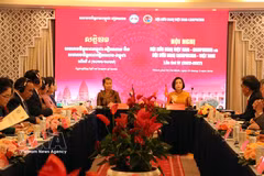 越柬友好协会与柬越友好协会在胡志明市头顿坊联合举行第四次联席会议。图自越通社