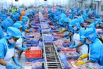 2024年越南水产品出口金额达100亿美元