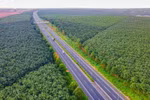 胡志明市—隆城—油椰高速公路上的车辆通行情况。（图自Vietnam+）