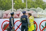 东盟聚焦解决毒品、网络犯罪和人口贩运问题。图自互联网