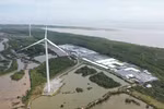 永隆省Sunpro 30兆瓦风电场正式竣工投产。图自越通社