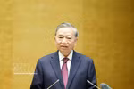 越共中央总书记、国家主席苏林出席会议并发表指导性讲话。图自越通社