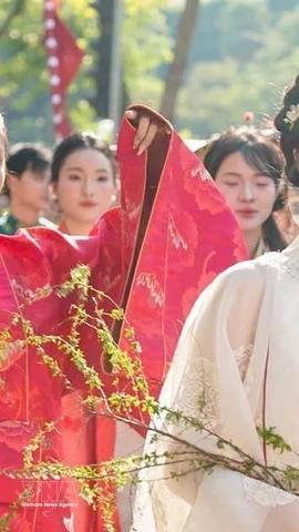 “百花步行”越南服饰文化节2025年11月15日在河内举行。图自越通社