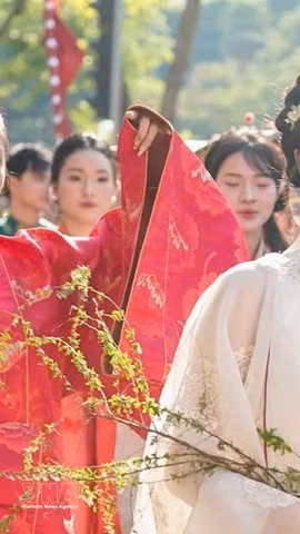 “百花步行”越南服饰文化节2025年11月15日在河内举行。图自越通社