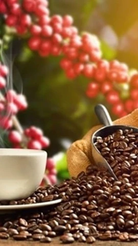 价值时代中的越南咖啡——从定位能力到国家价值空间