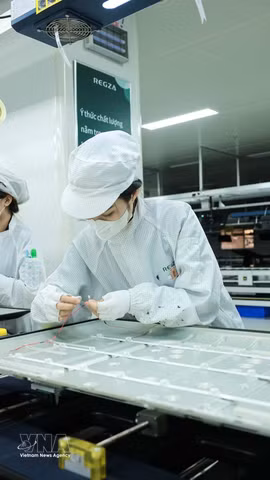 流入越南的外资不仅在规模上增长，而且迅速转向高科技、数据和绿色生产领域。图自越通社