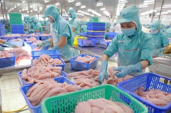 越南水产业在新加坡市场实现增长突破。图自越通社