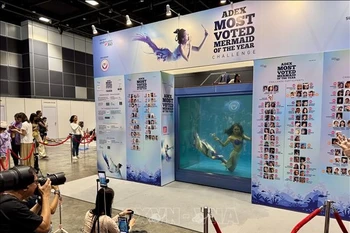 各国美人鱼团队参加 ADEX全球水舞大赛&美人鱼秀 ，吸引了众多游客的关注。图自越通社