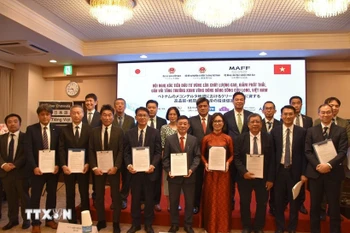 越南与日本加大对九龙江三角洲地区的绿色农业投资促进力度