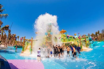 15公顷滨海水上乐园有望成为重要的休闲娱乐亮点，满足南方民众在春节等高峰节日期间的旅游需求。图自越通社