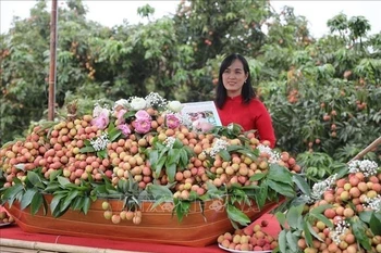 附图。图自越通社