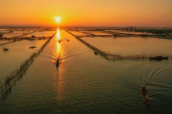 顺化市三江- 桥二泻湖生态系统一直是游客青睐的热门目的地。图自人民报