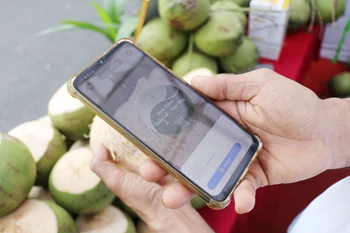 庆和省积极推动电子商务和无现金支付发展。图自越通社