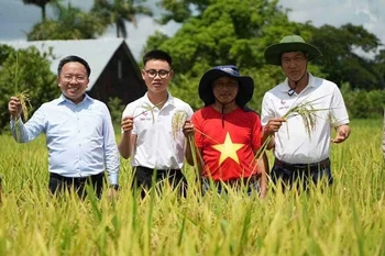 纪录片《幸福的种子》记录了越南向古巴转让特种水稻品种（包括CT16稻种）的历程。图自越通社