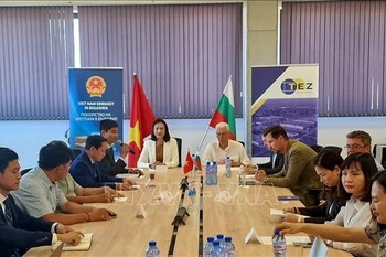 越南与保加利亚企业商务对接洽谈会现场。图自越通社