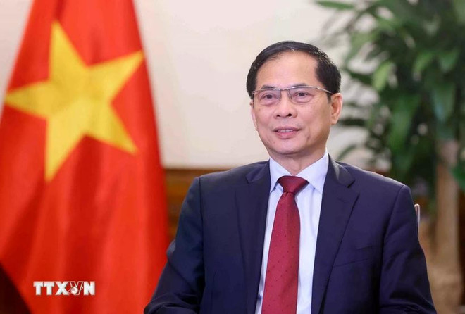 pho-thu-tuong-bo-truong-ngoai-giao-bui-thanh-son-1.jpg