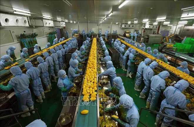林同省B'LaoFood公司农产品加工生产线。图自越通社 vna-potal-viet-nam-hoa-ky-30-nam-vuot-qua-khac-biet-cung-co-quan-he-doi-tac-chien-luoc-toan-dien-stand-1.jpg