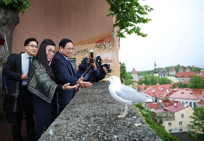 越南政府总理范明政与夫人及越南高级代表团参观了塔林古城。图自越通社 vna-potal-thu-tuong-va-phu-nhan-tham-quan-khu-pho-co-tallinn-cua-estonia-8074906.jpg