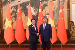 中共中央总书记、国家主席习近平迎接国家主席梁强。图自越通社