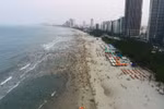 越南继续成为带孩子出游的韩国家庭喜爱目的地