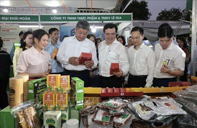 此次博览会规模盛大,共设有300个展位,来自全国34个省市的200多个单位参展。图自越通社 vna-potal-hoi-cho-san-pham-ocop-xuat-khau-vietnam-ocopex-2025-stand.jpg
