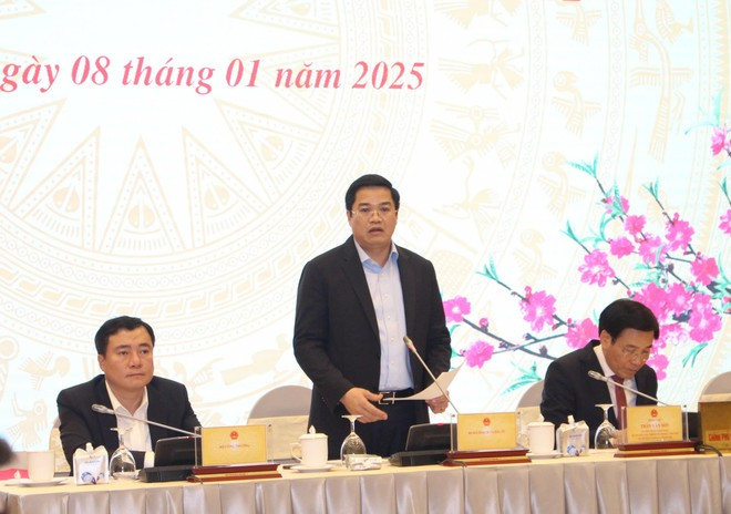 计划与投资部副部长阮德心。图自Vietnam+ tambkhdt.jpg
