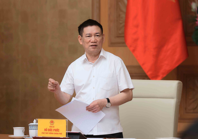 胡德福副总理发表讲话。图自越通社 vna-potal-pho-thu-tuong-ho-duc-phoc-chu-tri-hop-ban-chi-dao-dieu-hanh-gia-quy-ii-8190919.jpg