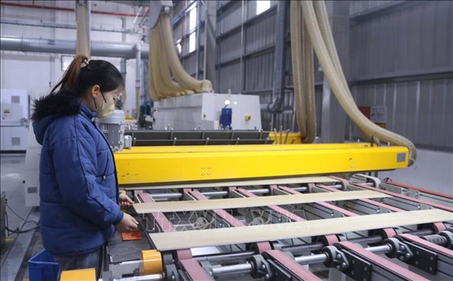 vna-hai-phong-investment-climate.jpg