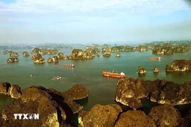 2802-vinh-bai-tu-long.jpg